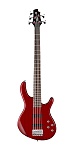 :Cort Action-Bass-V-Plus-TR Action Series -, 5-, 